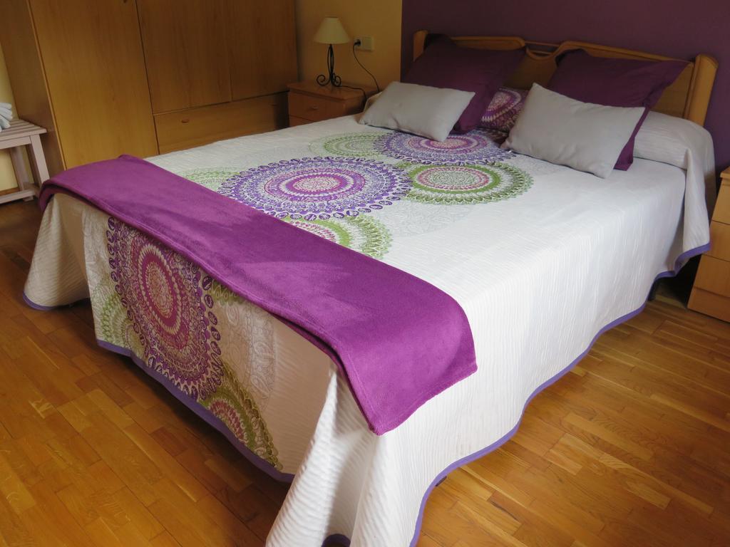 Apartaments El Ribal Valencia D'Aneu Ngoại thất bức ảnh